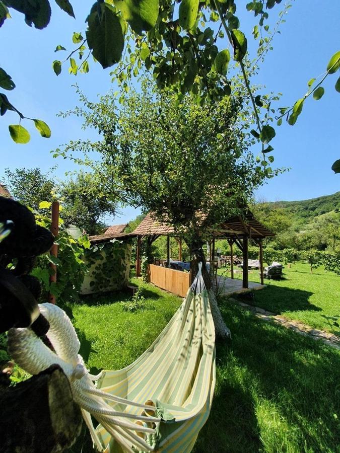 Valchid Guest House エクステリア 写真
