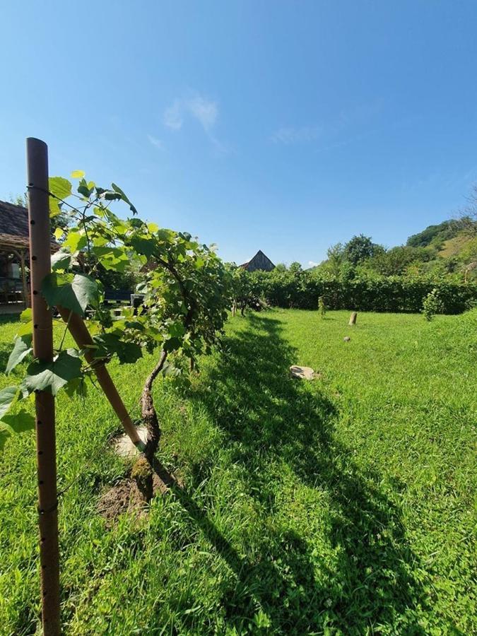 Valchid Guest House エクステリア 写真